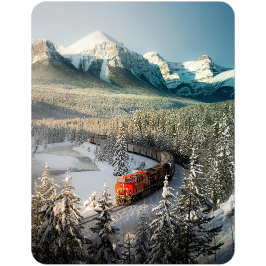 d3bf1bac-d2e6-4d8a-a12a-342c333c09f0